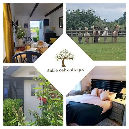 Birch Cottage With Private Wood Fire Hot Tub Harrietsham Eksteriør bilde