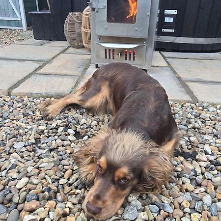Birch Cottage With Private Wood Fire Hot Tub Harrietsham Eksteriør bilde