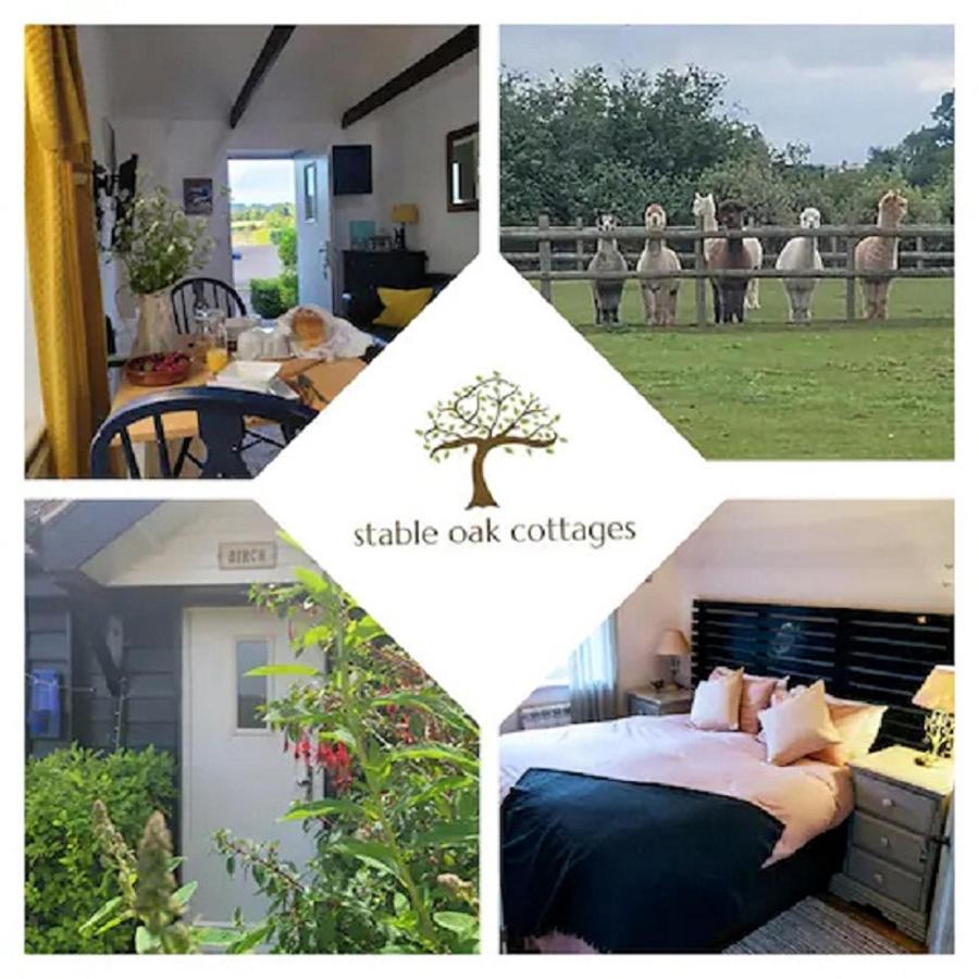 Birch Cottage With Private Wood Fire Hot Tub Harrietsham Eksteriør bilde