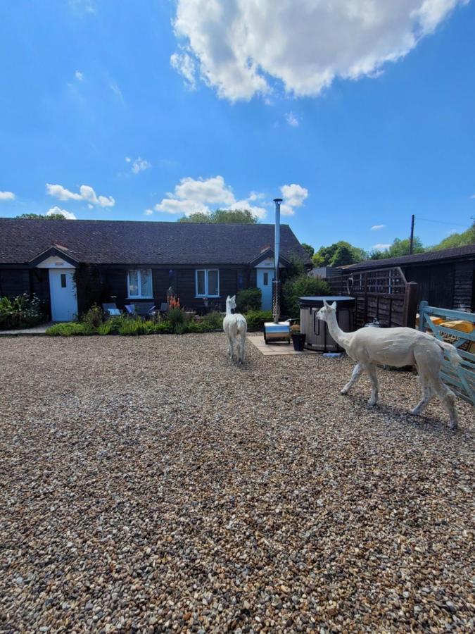 Birch Cottage With Private Wood Fire Hot Tub Harrietsham Eksteriør bilde