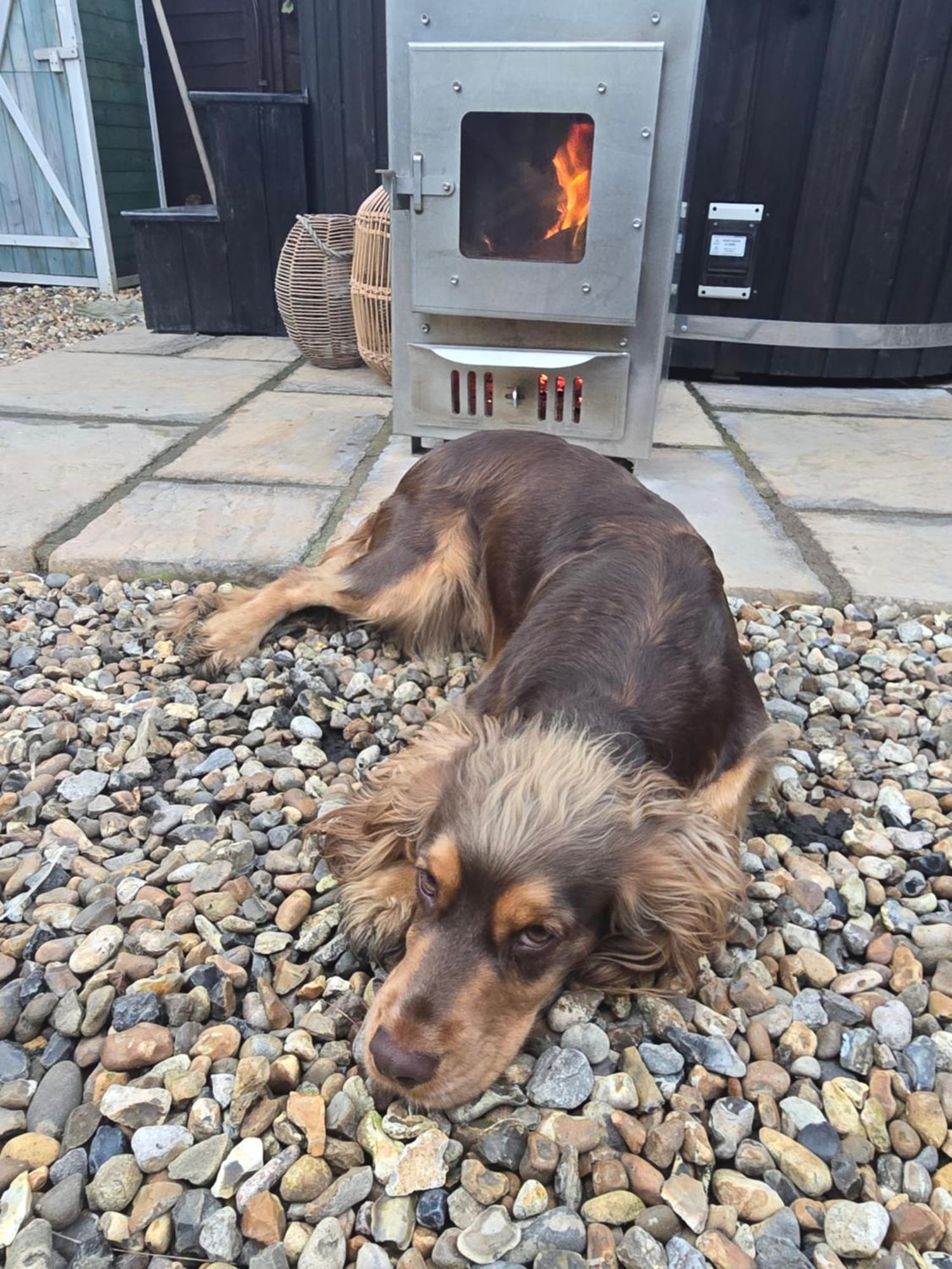 Birch Cottage With Private Wood Fire Hot Tub Harrietsham Eksteriør bilde